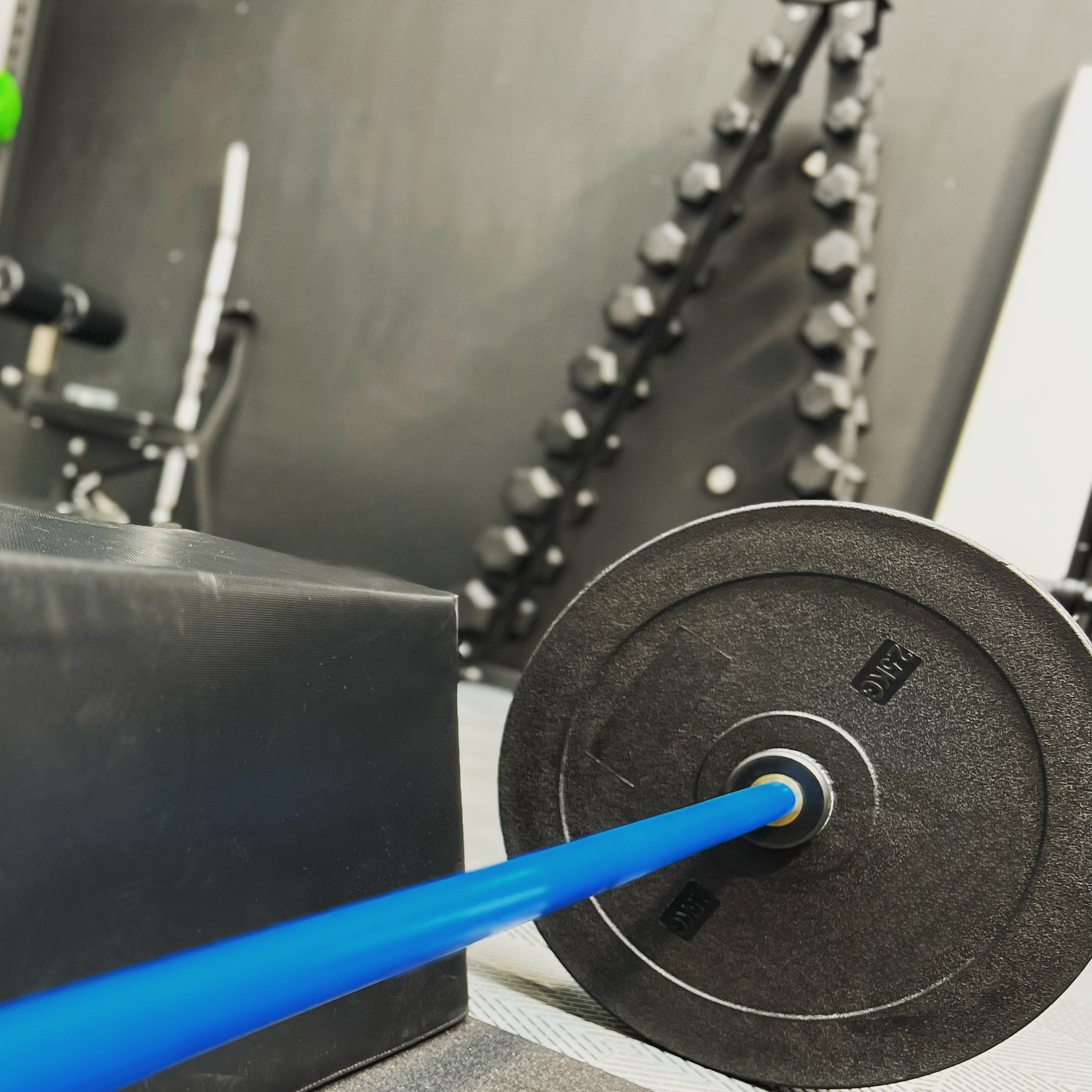 2.5kg Technique Plates