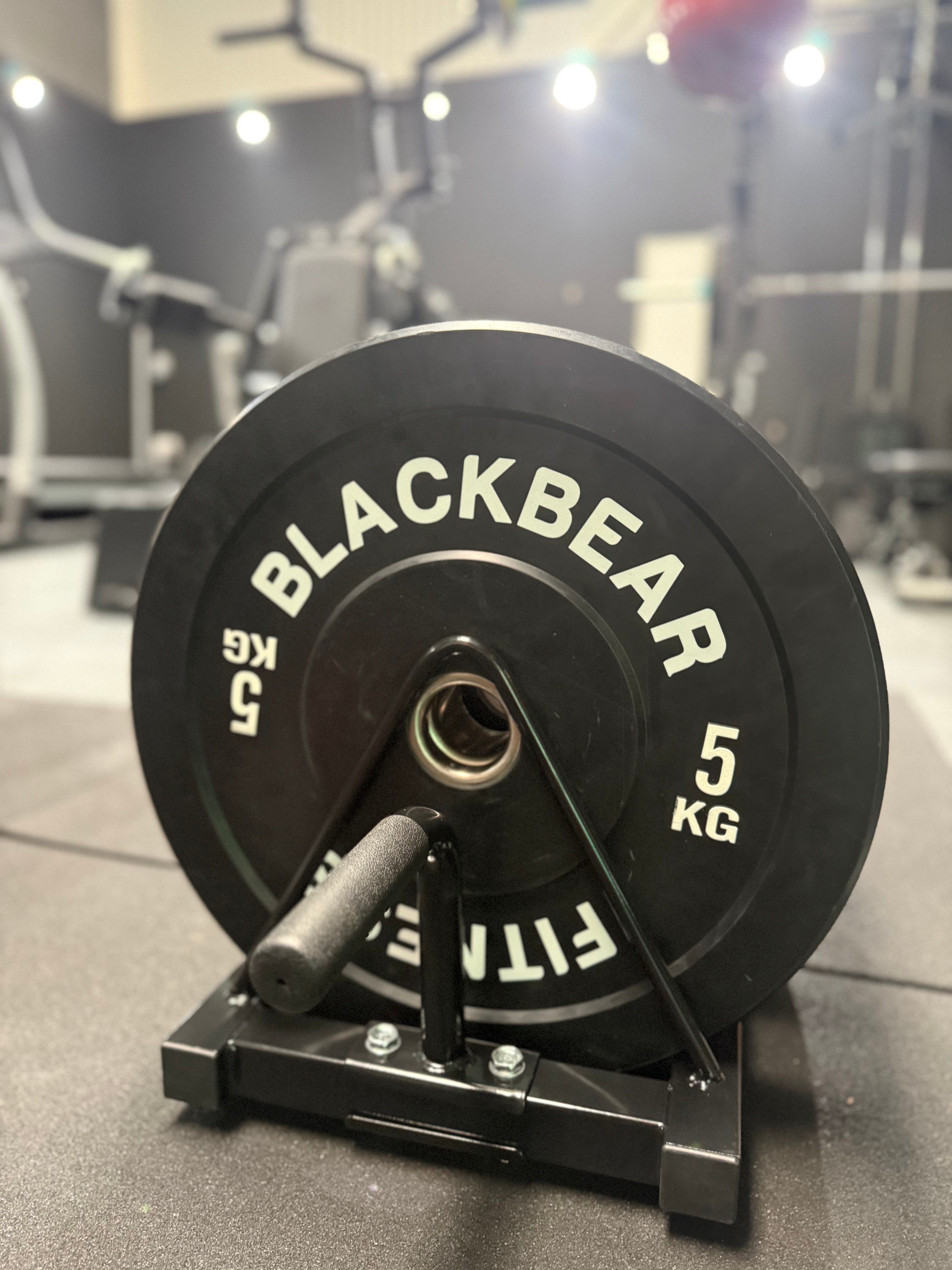 Weight Plate & Barbell Toaster Rack - Compact