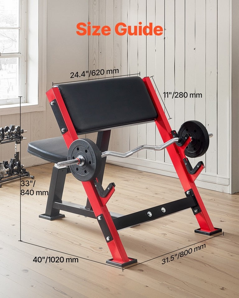 Preacher Curl Bench