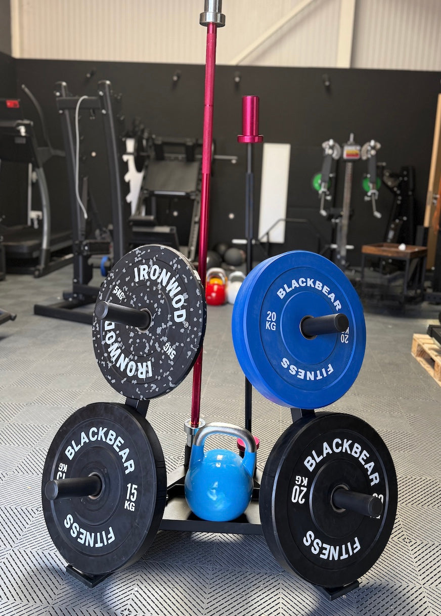 Front Facing Weight/Bar Storage Stand