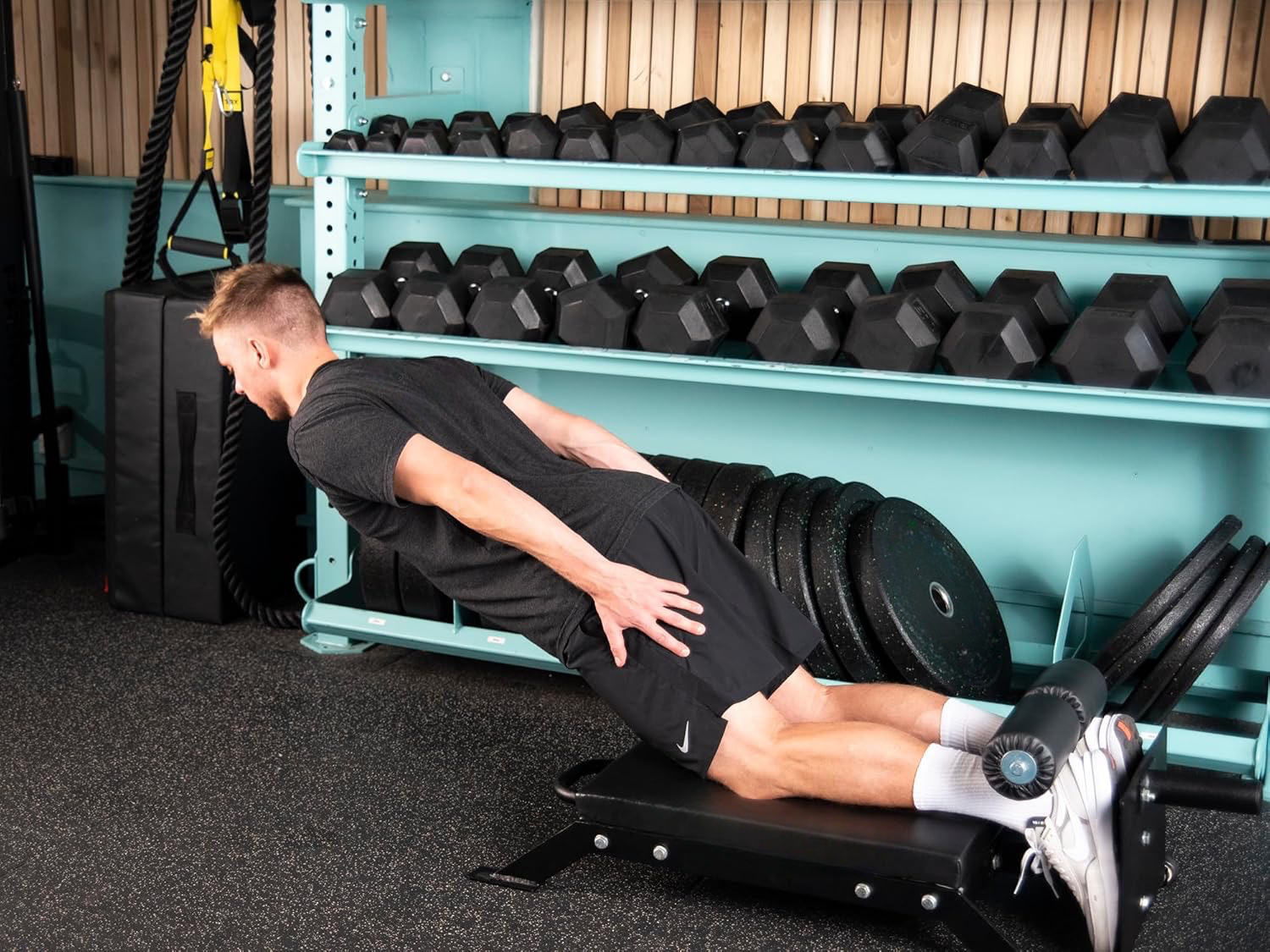 Nordic Curl & Hamstring Developer Bench