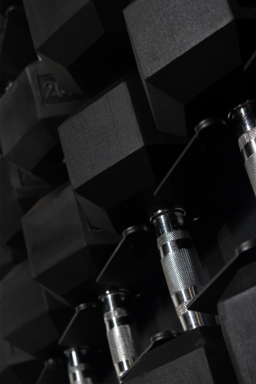 Front Facing Dumbbell Stands