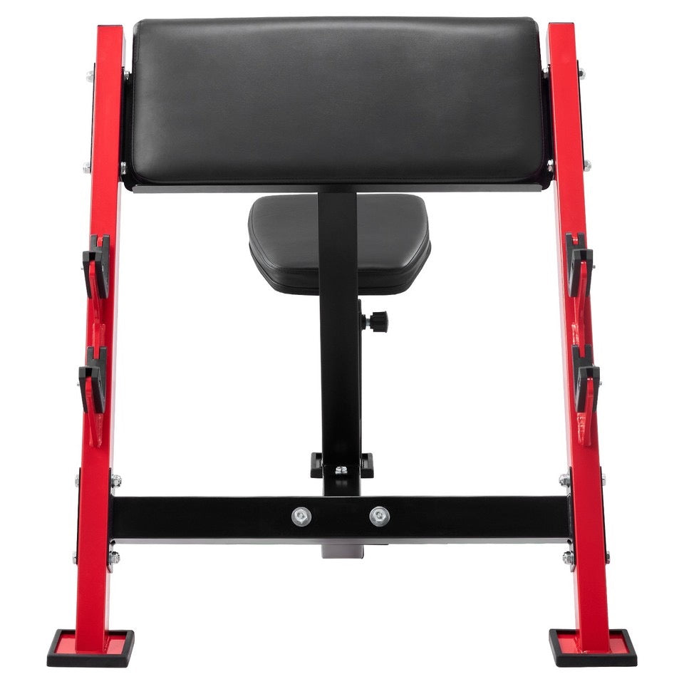 Preacher Curl Bench