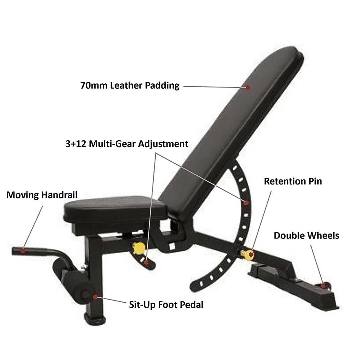BlackBear Incline Bench