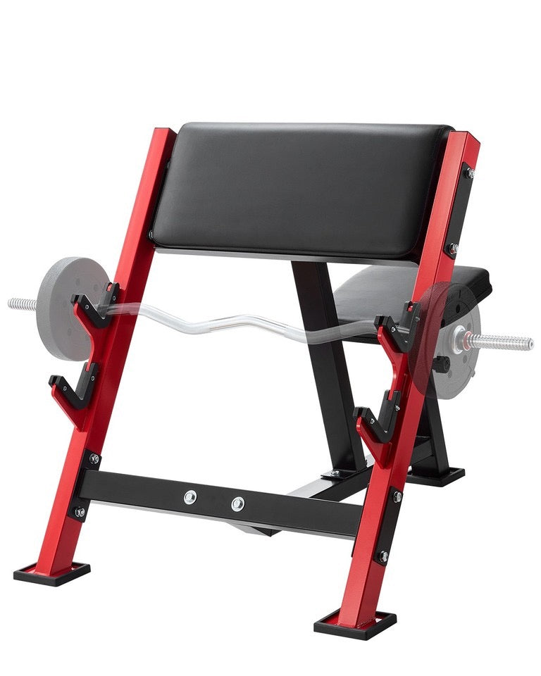 Preacher Curl Bench