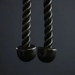 Dual Tricep Rope - Cable Attachment