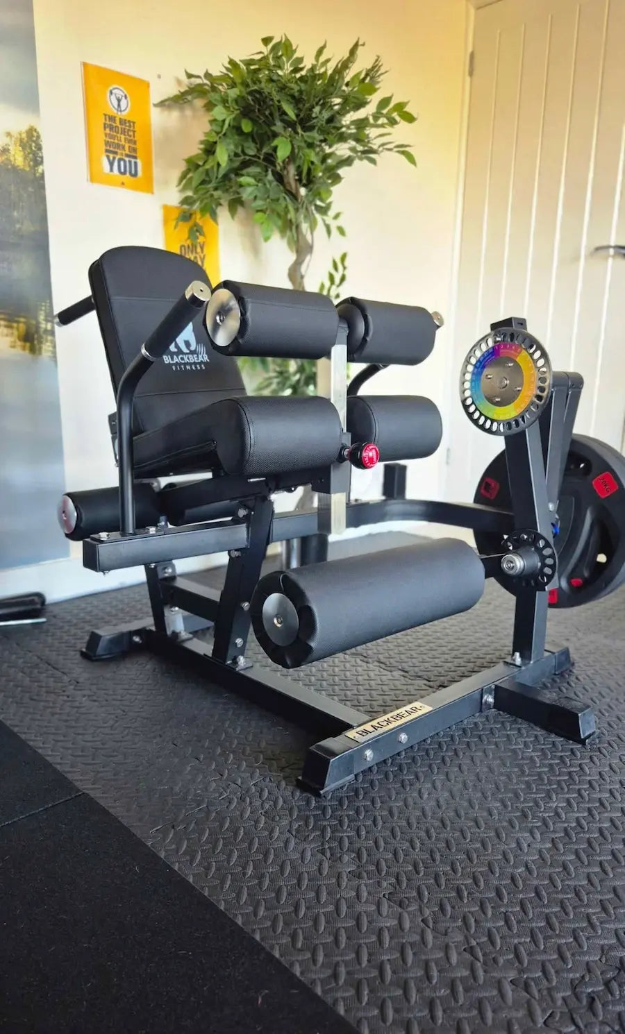 Leg Extension & Leg Curl Machine - Plate Loaded