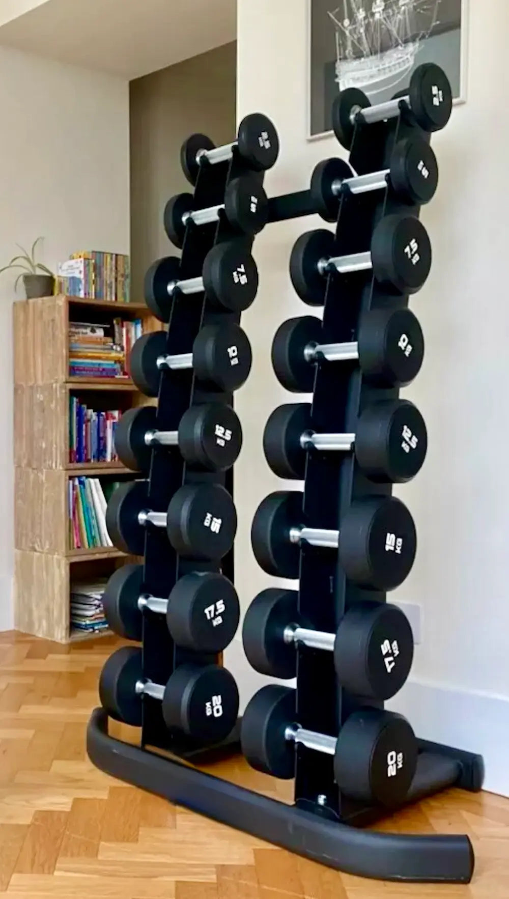 Front Facing Dumbbell Stands