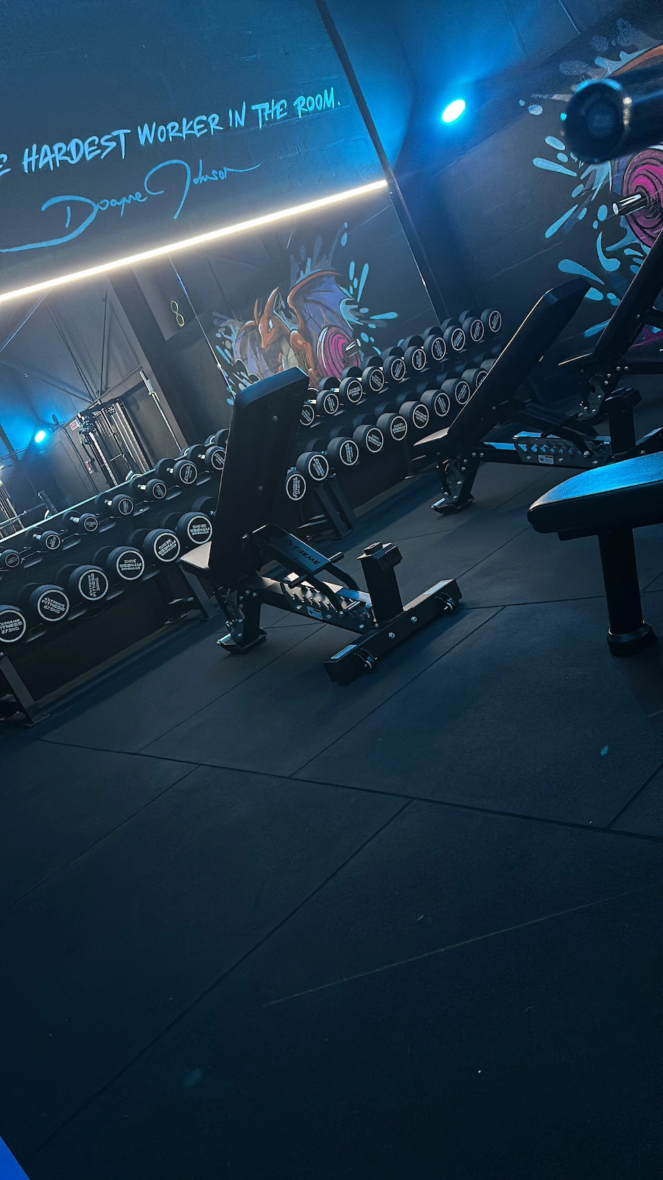 Commercial Adjustable Bench