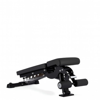 Commercial FID Bench - BlackBear Fitness