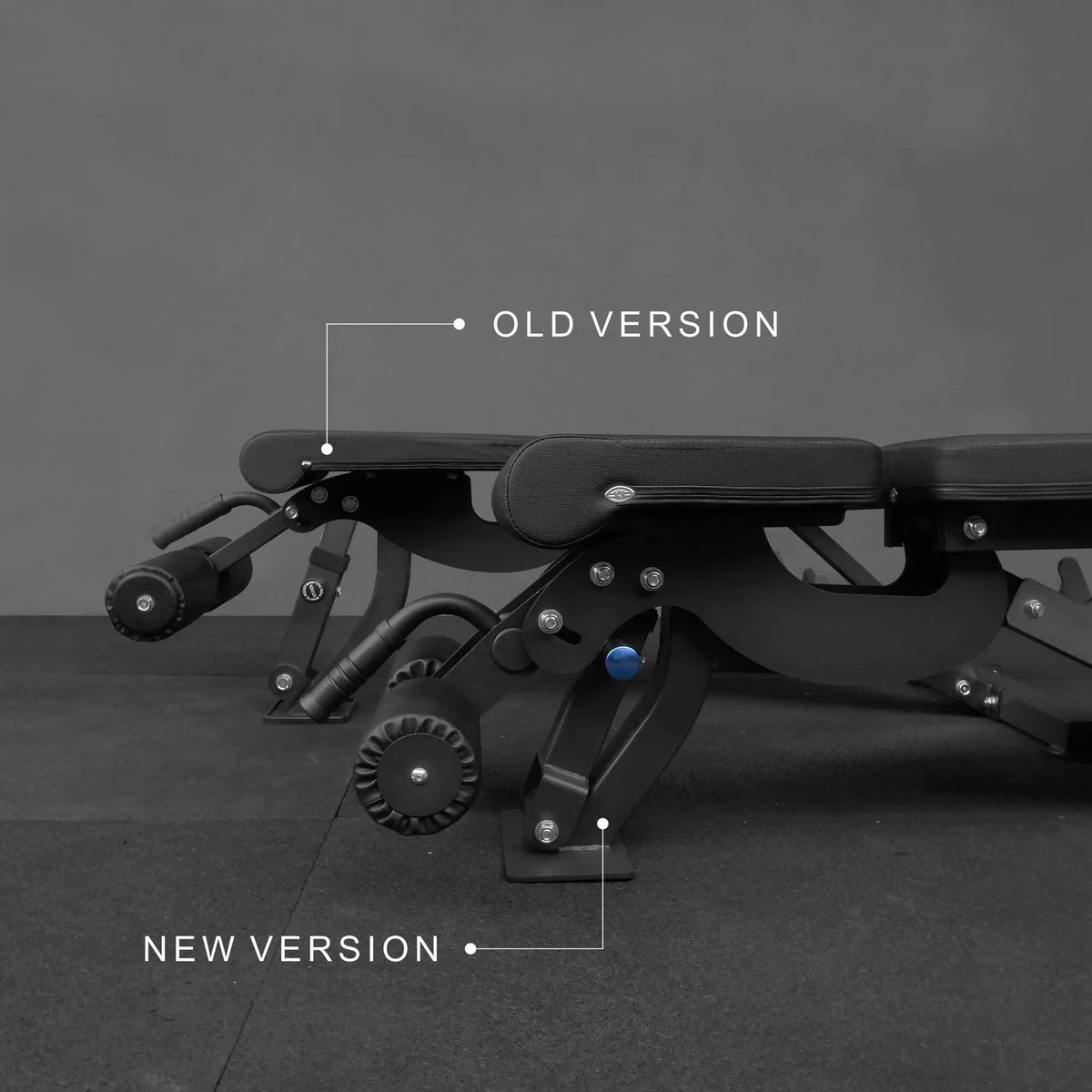 Commercial FID Bench - BlackBear Fitness