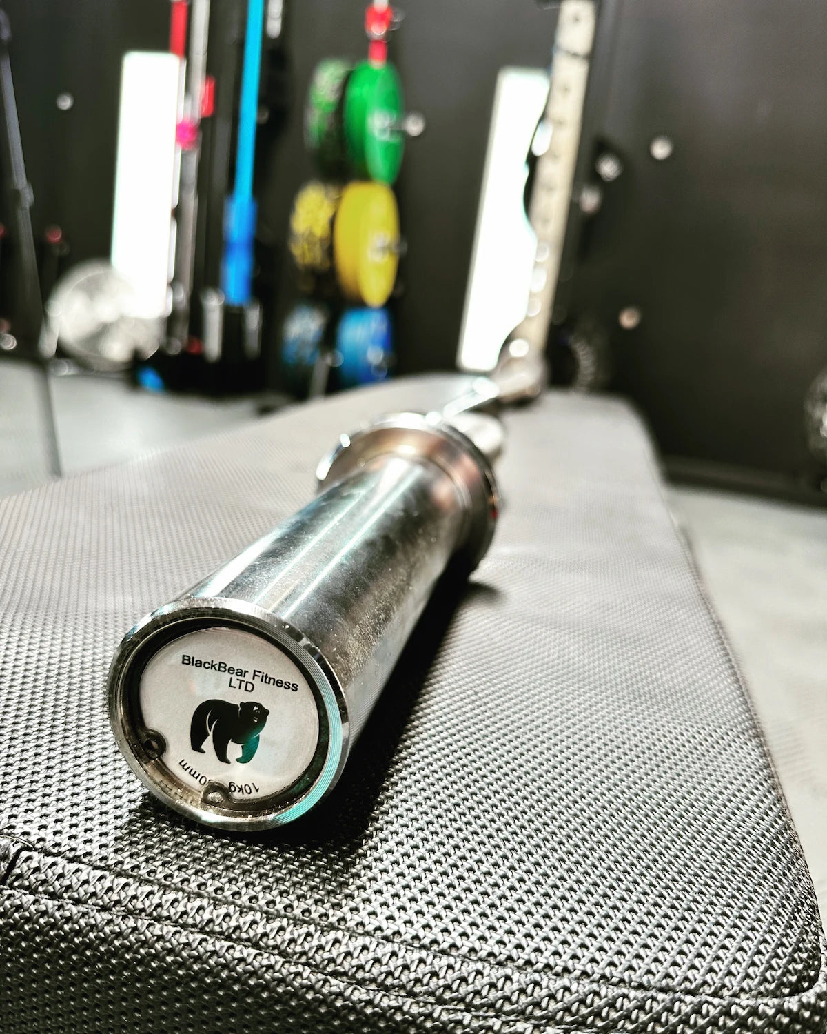Ez Curl Barbell Package - Plates & Collars