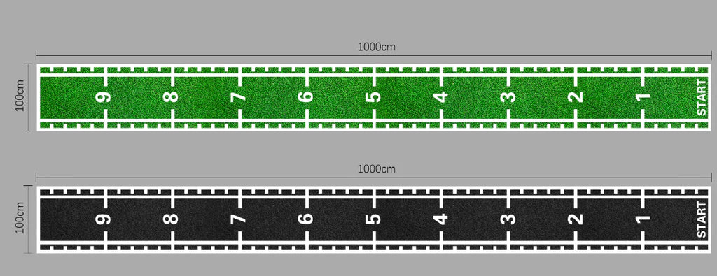 Sled Track With Full Markings 1m x 10m