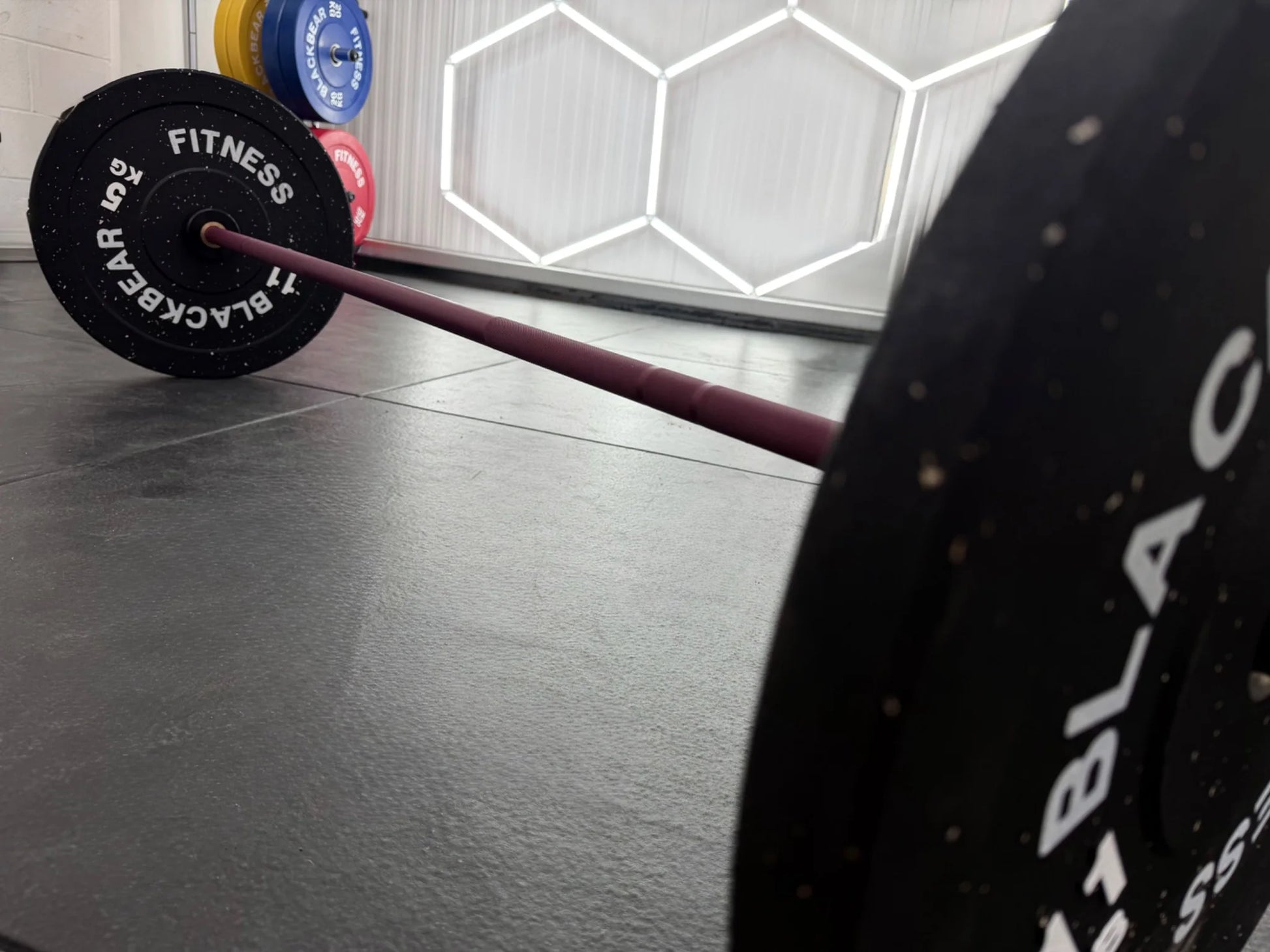 6ft 15kg Purple & Black Olympic Barbell - BlackBear Fitness