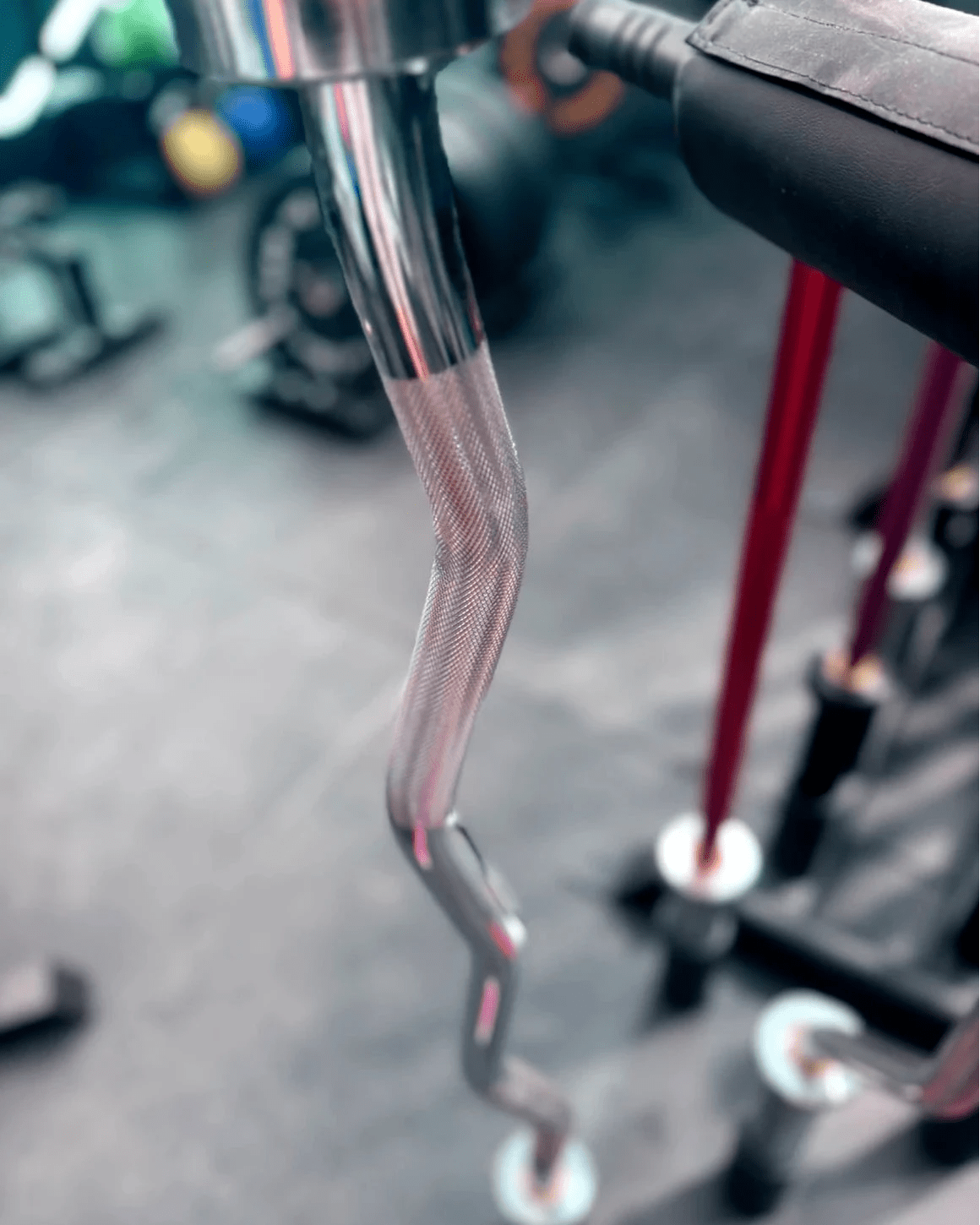 8kg Ez Curl Barbell - BlackBear Fitness