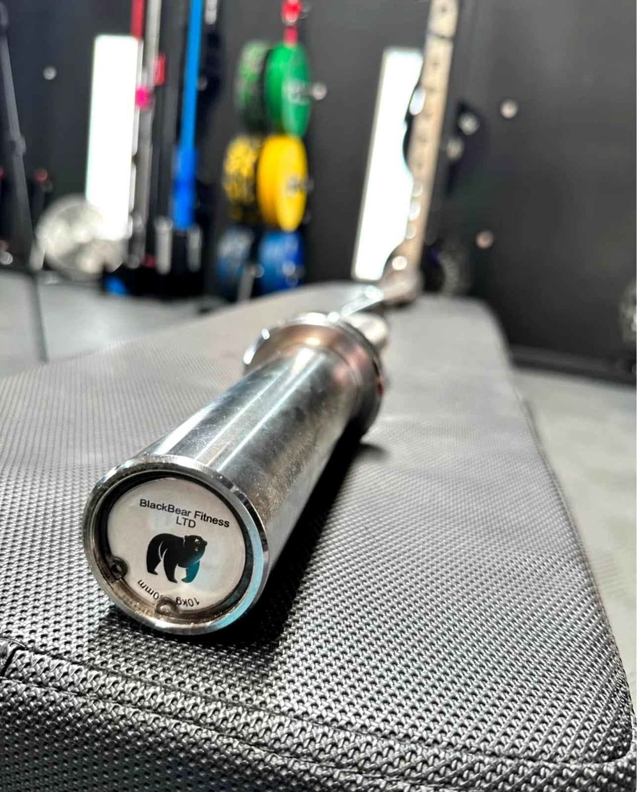 8kg Ez Curl Barbell - BlackBear Fitness