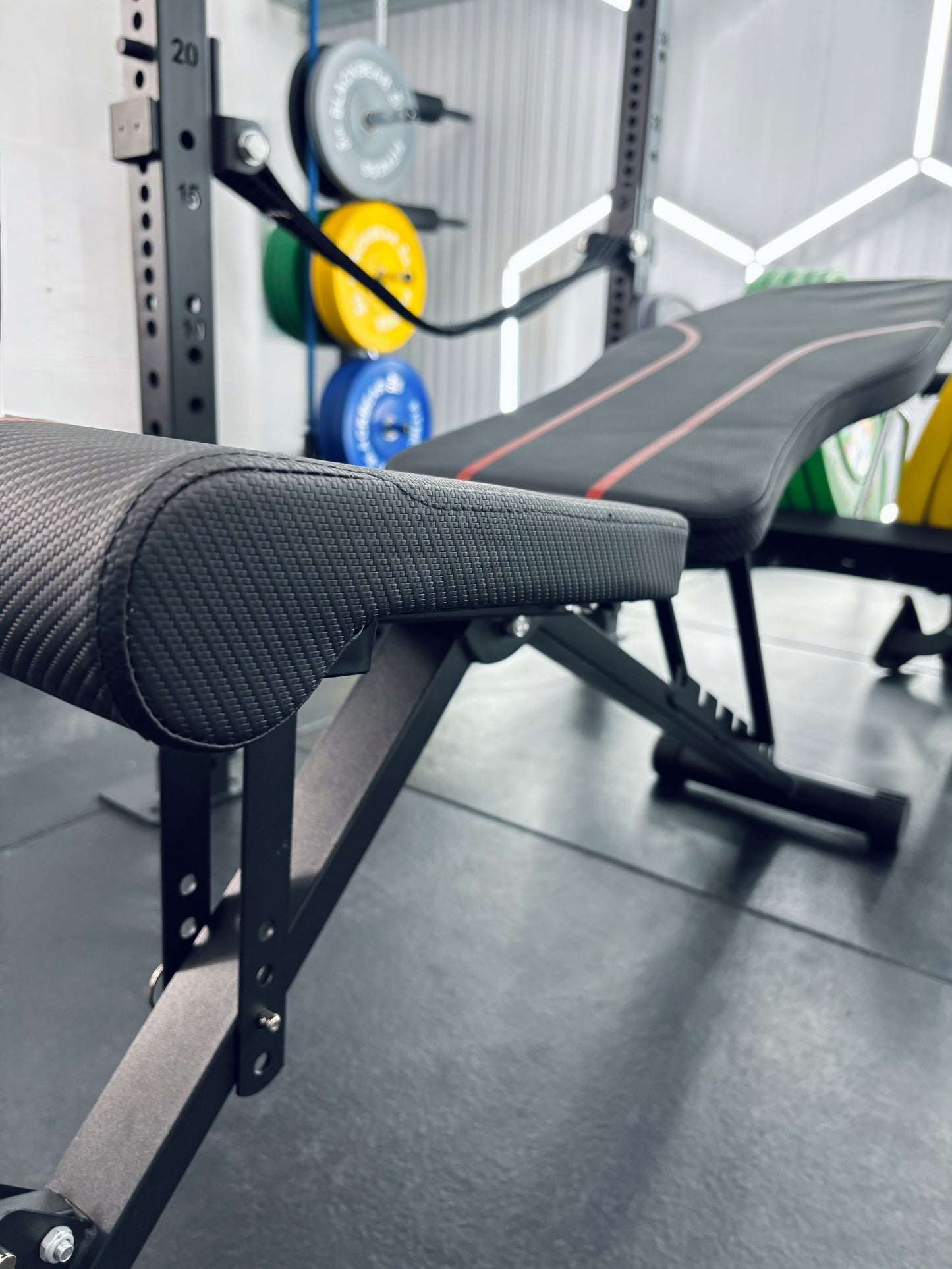 BlackBear Folding Incline Bench #2