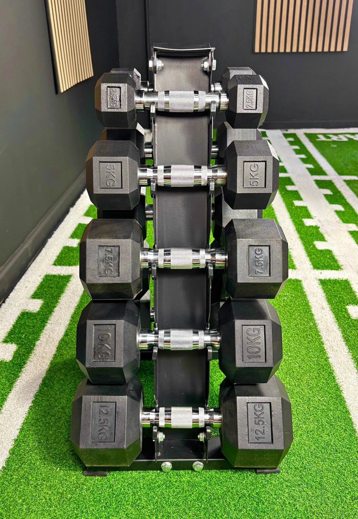 2.5kg-12.5kg Hex Dumbbell Package + Stand (5 Pairs)