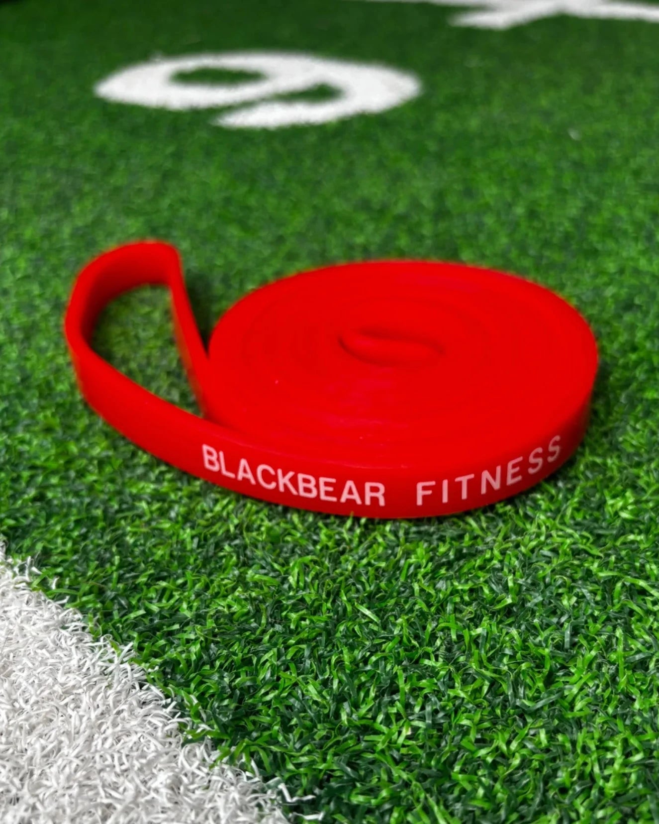 BlackBear Resistance Bands - BlackBear Fitness