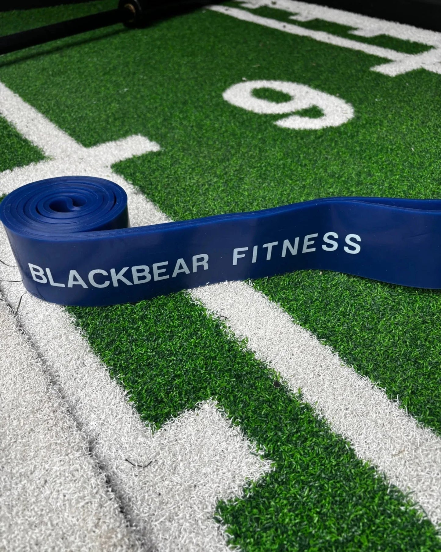 BlackBear Resistance Bands - BlackBear Fitness