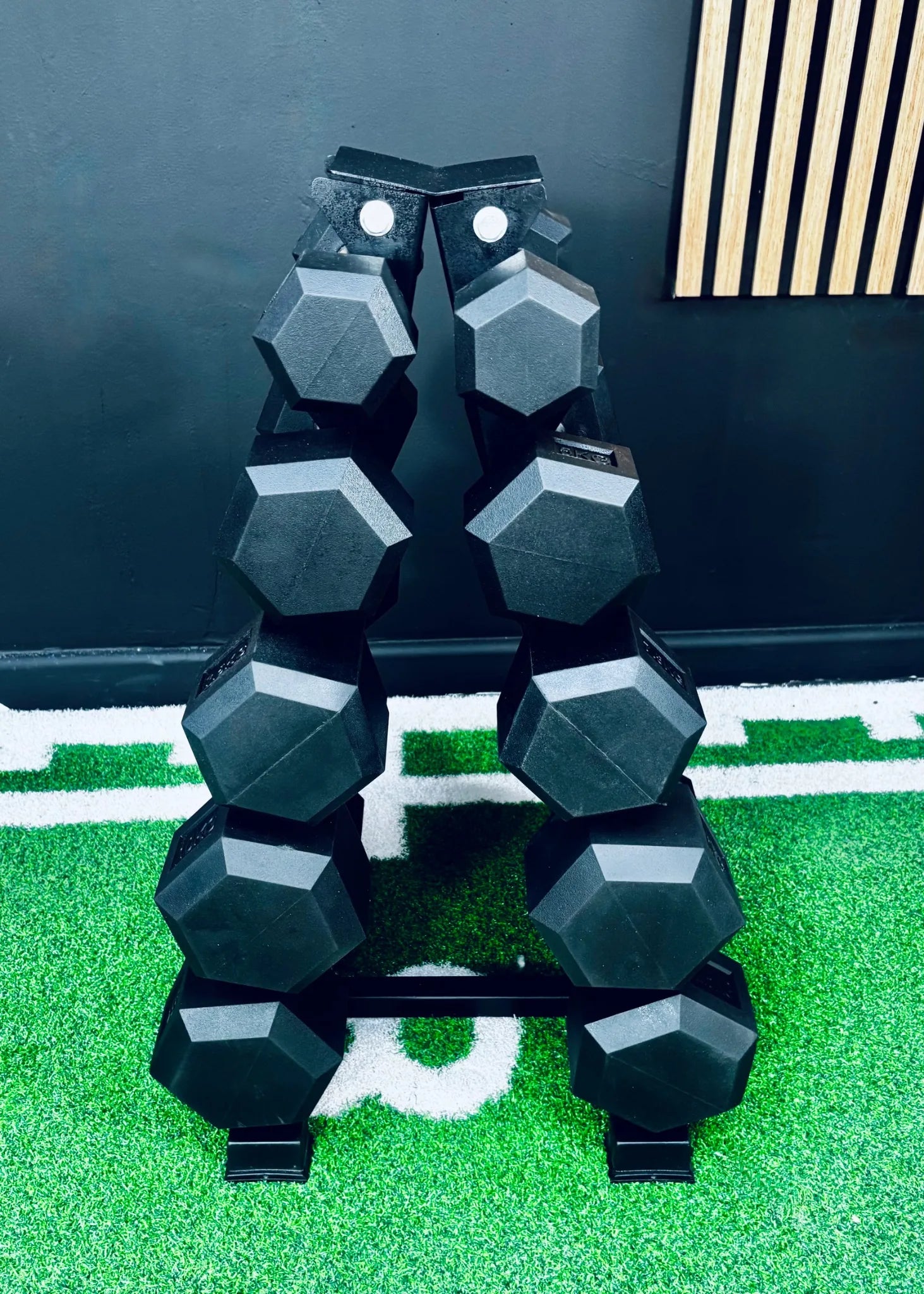 2.5kg - 12.5kg Hex Dumbbell Package (5 Pairs) - BlackBear Fitness