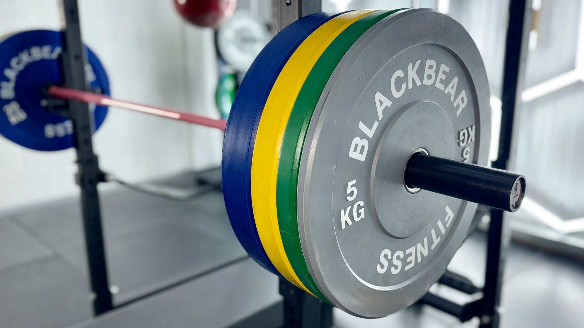 Coloured Bumper Plates - BlackBear Fitness