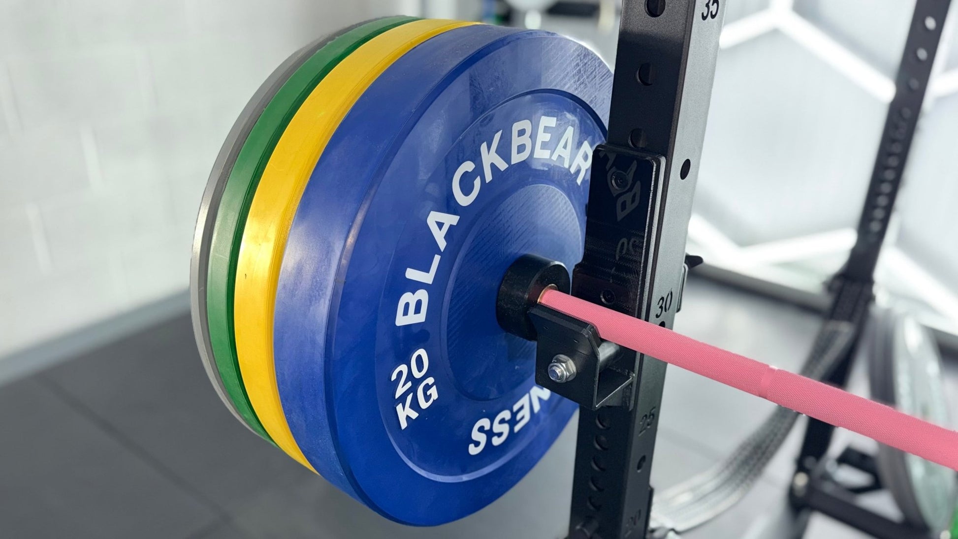 Coloured Bumper Plates - BlackBear Fitness