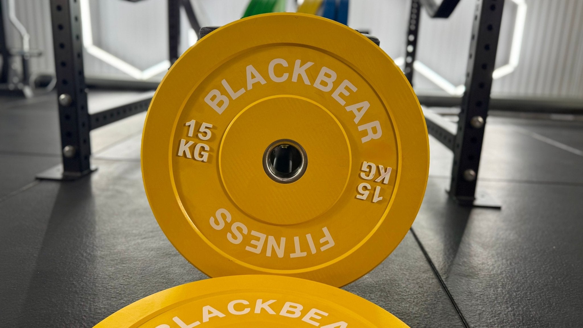Coloured Bumper Plates - BlackBear Fitness