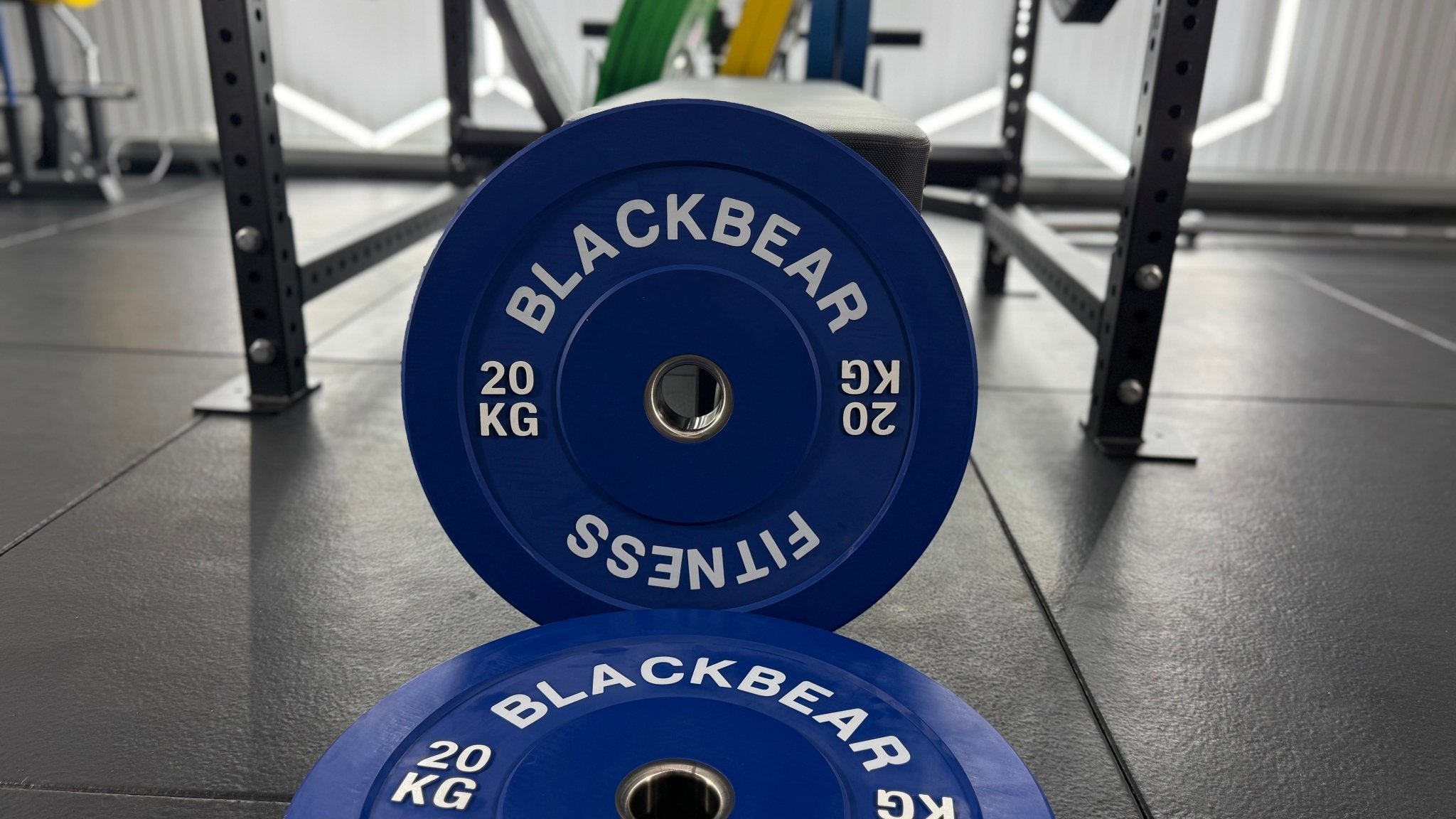 Coloured Bumper Plates - BlackBear Fitness