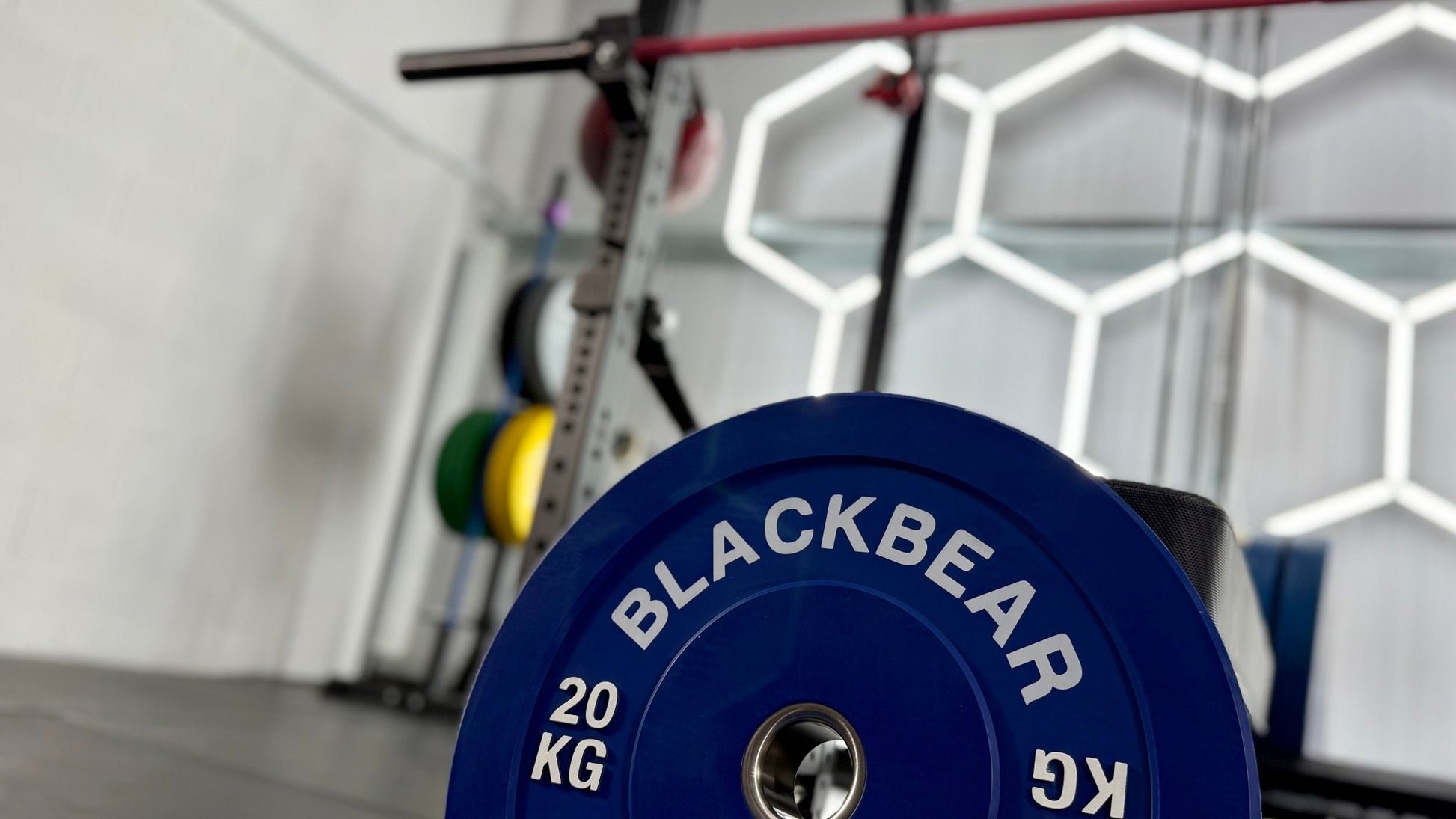 Coloured Bumper Plates - BlackBear Fitness