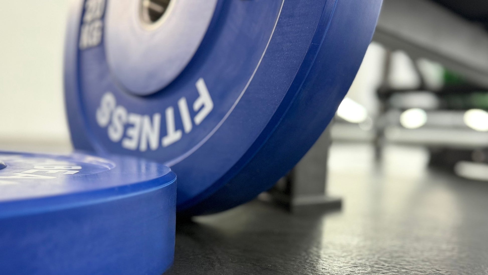 Coloured Bumper Plates - BlackBear Fitness