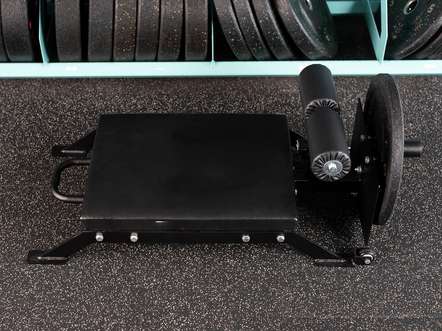 Nordic Curl & Hamstring Developer Bench