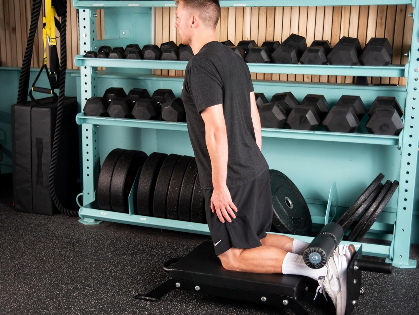 Nordic Curl & Hamstring Developer Bench