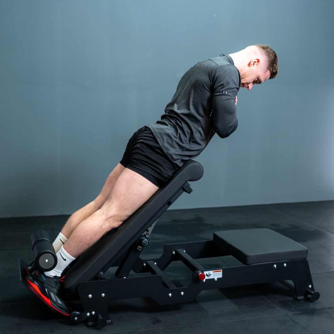 Nordic Curl and Back Extension Bench