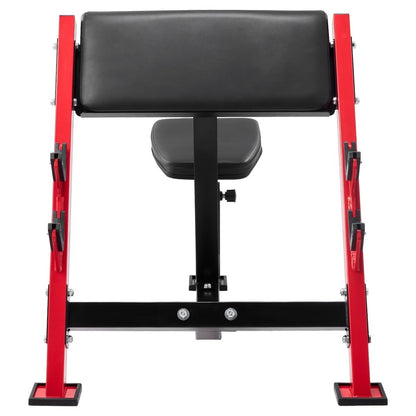 Preacher Curl Bench