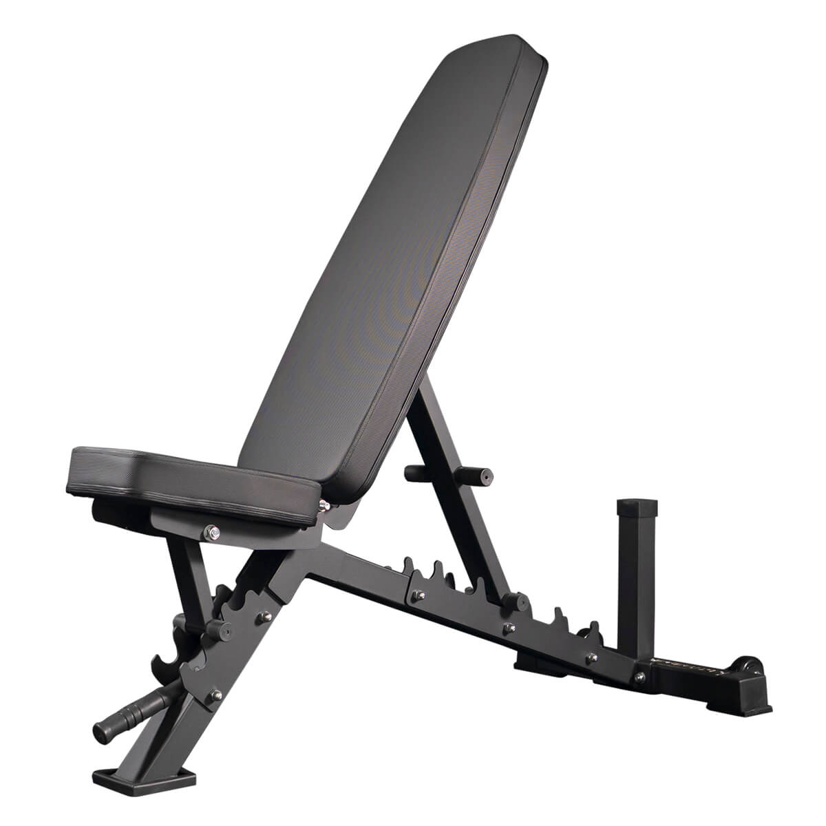 Ascent Series Elite Bench - BlackBear Fitness