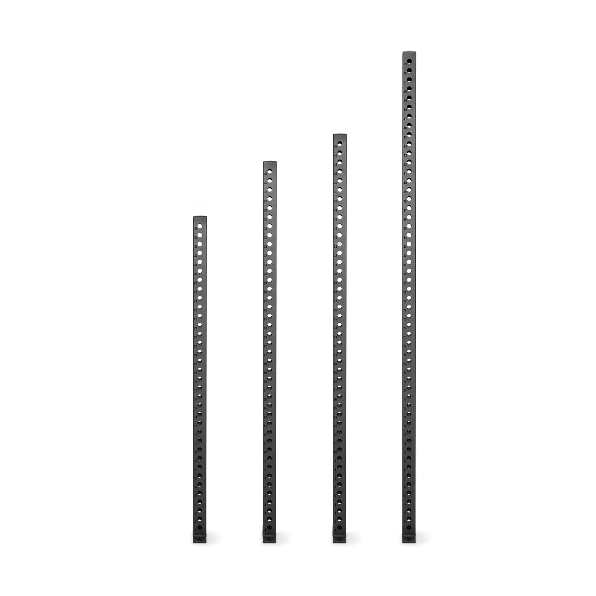 Manticore Vertical Uprights – Bells of Steel - BlackBear Fitness