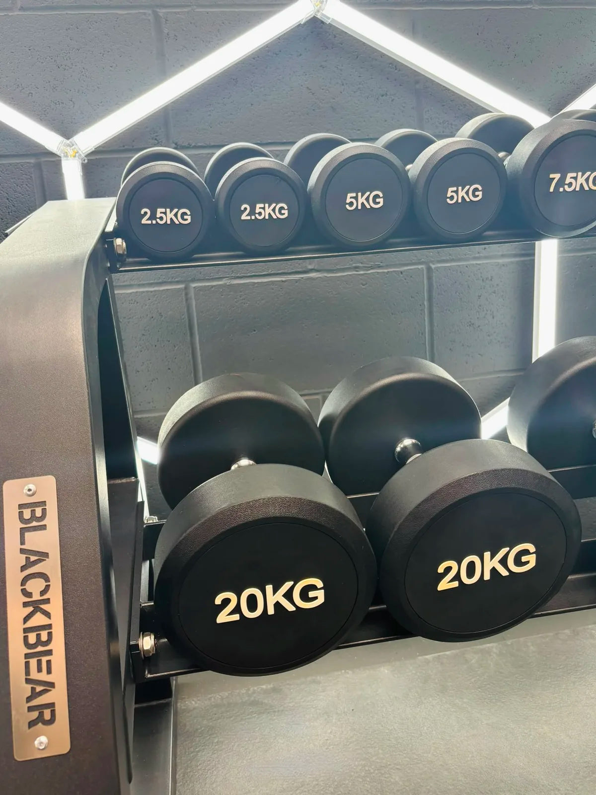 2.5kg-30kg Commercial Dumbbell Package + Stand (12 Pairs)