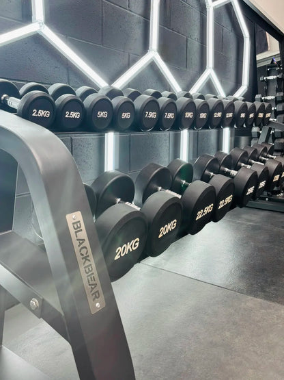 2.5kg-30kg Commercial Dumbbell Package + Stand (12 Pairs)