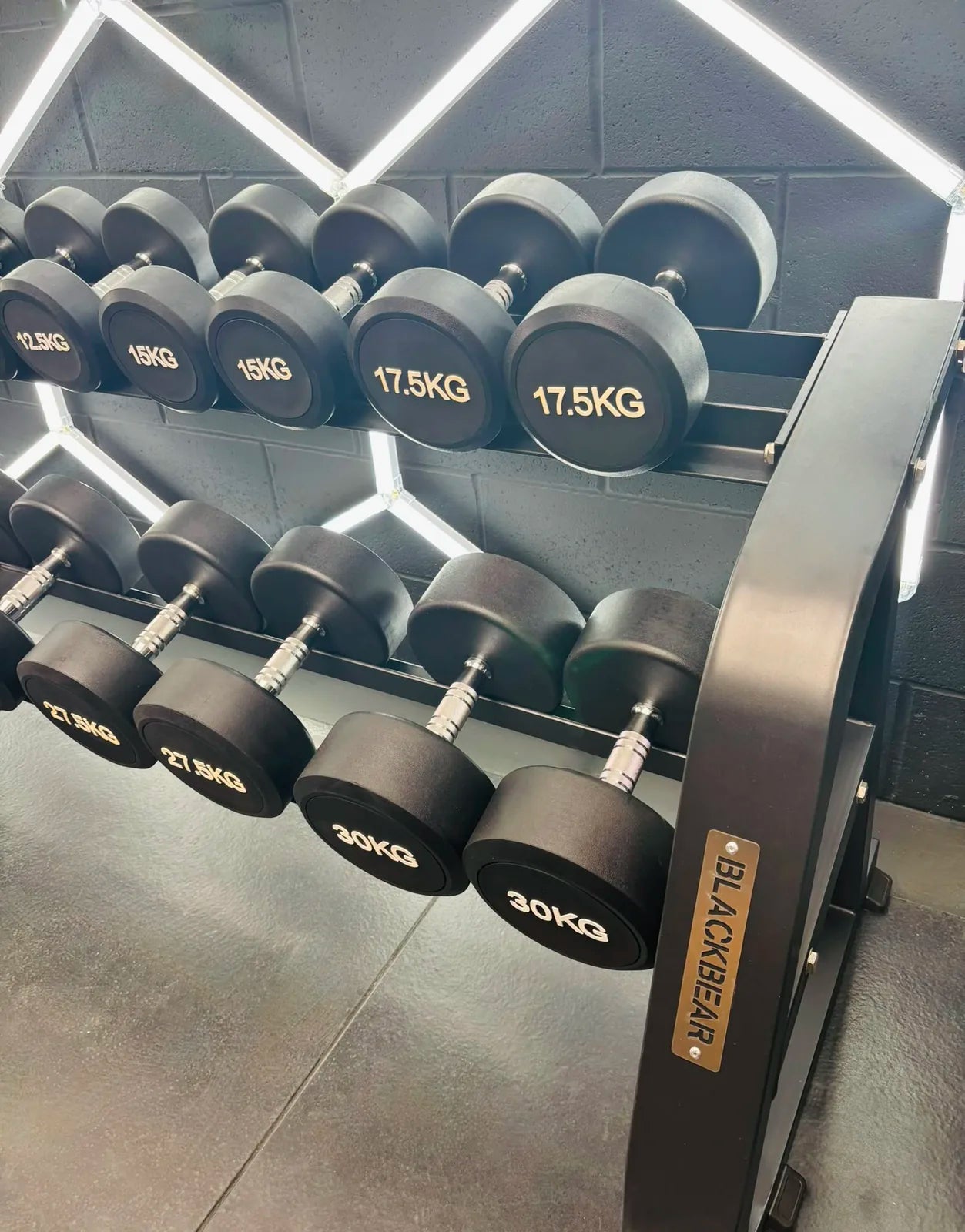 2.5kg-30kg Commercial Dumbbell Package + Stand (12 Pairs)