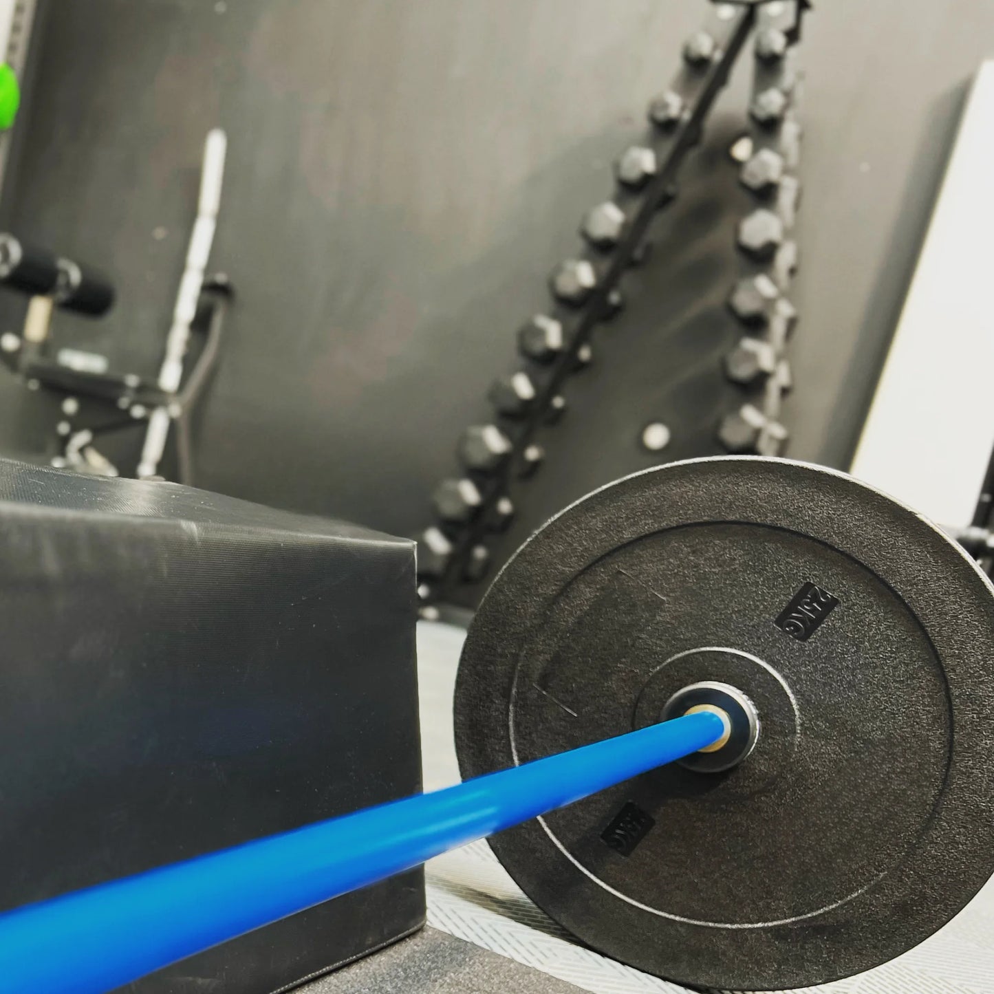 2.5kg Technique Plates - BlackBear Fitness