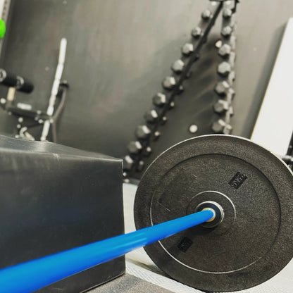 2.5kg Technique Plates - BlackBear Fitness