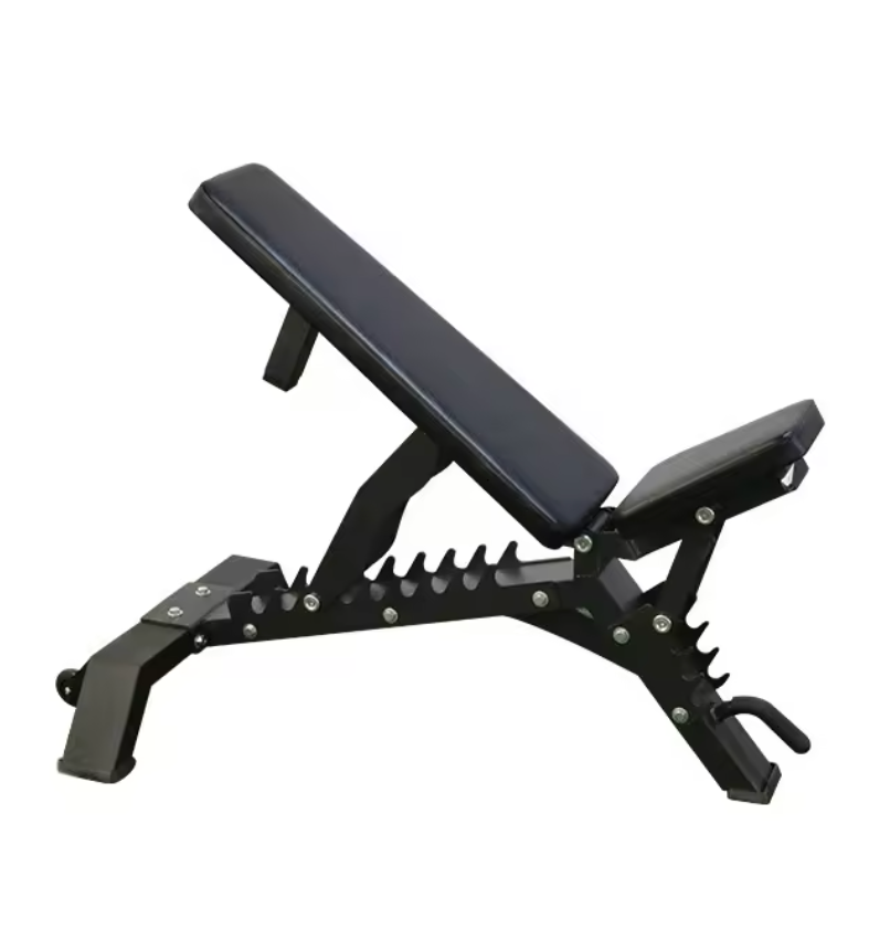 BB Adjustable Bench