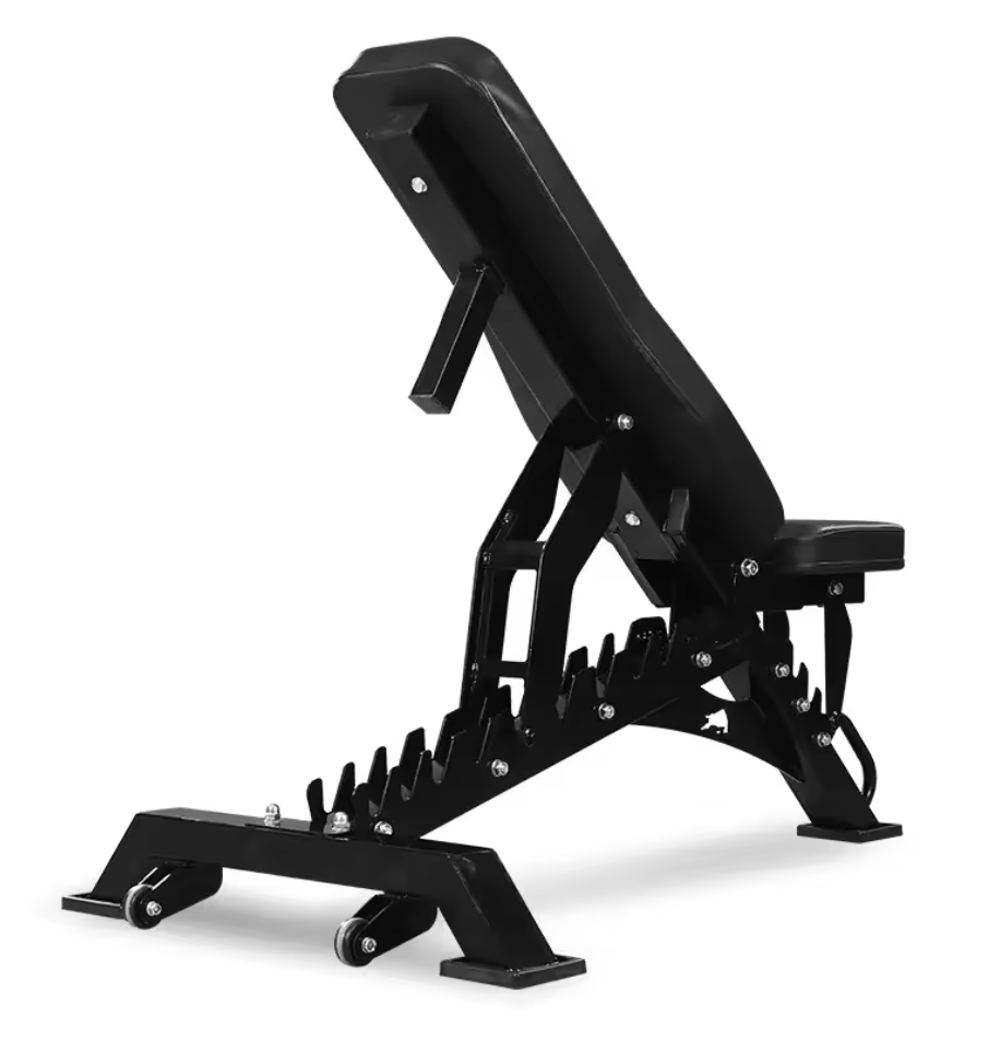 BB Adjustable Bench